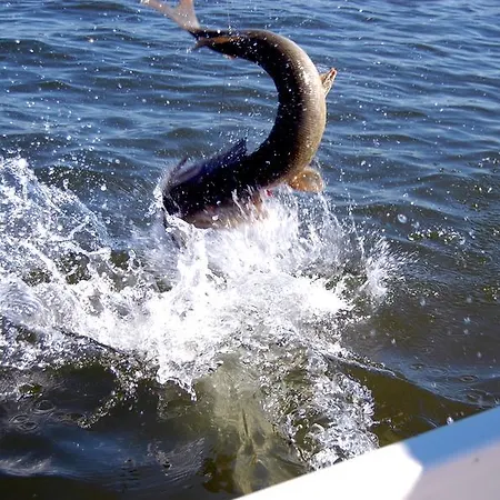 Hotel Bastö Hotel&stugby Palsbole