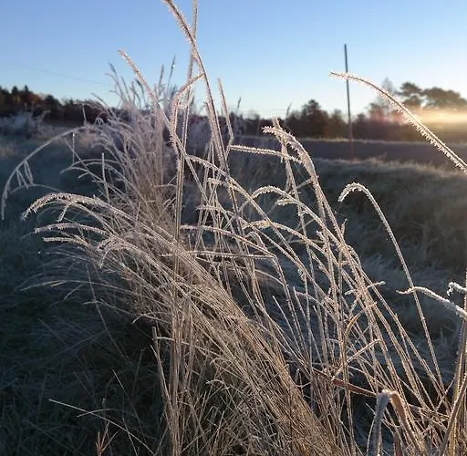 Bastö Hotel&stugby 3*
