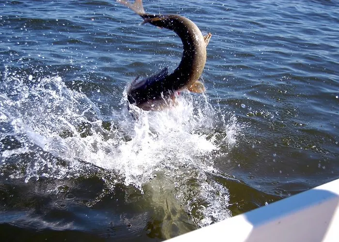 Hotell Bastö Hotel&stugby Palsbole