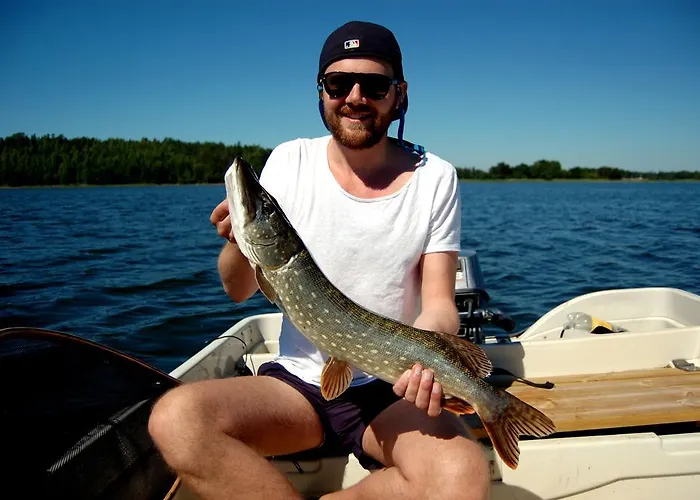 Hotell Bastö Hotel&stugby 3*