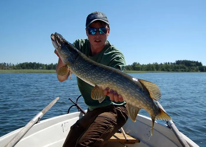 Bastö Hotel&stugby 3*