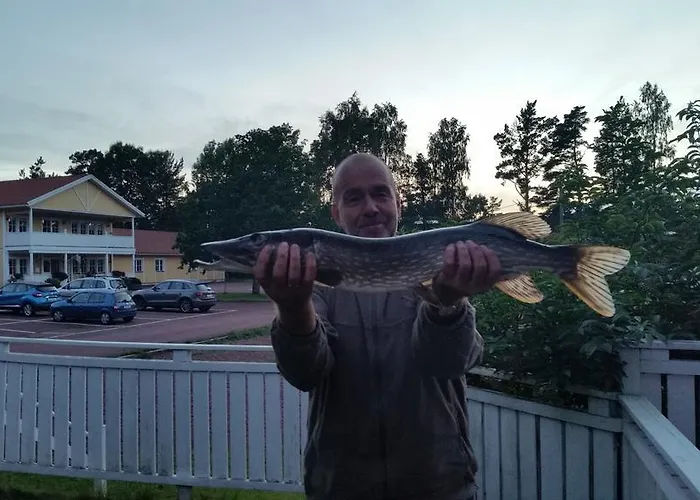 Hotell Bastö Hotel&stugby Palsbole